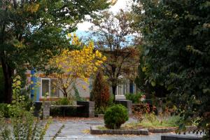 تصویر کوچک