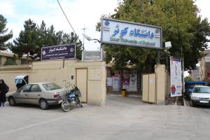 تصویر کوچک