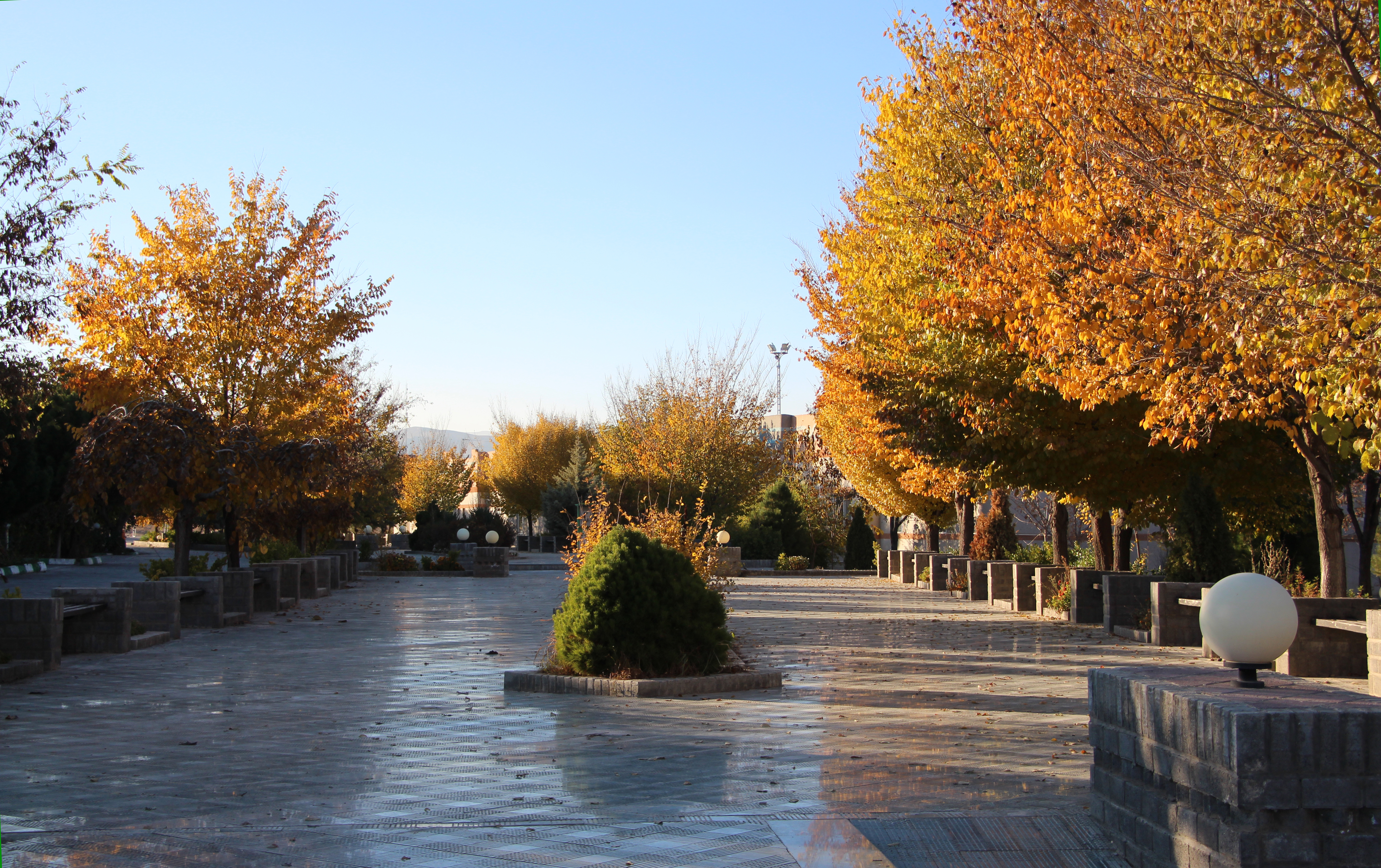 Second Responsive Image